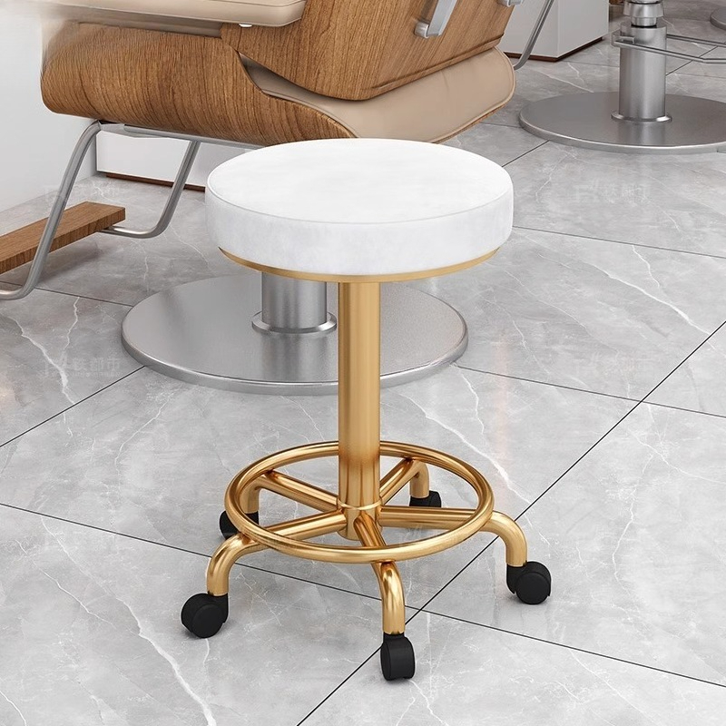 モダンでシンプルなビューティースツールプロフェッショナルスイ - Home Bar Stools のレビューと価格